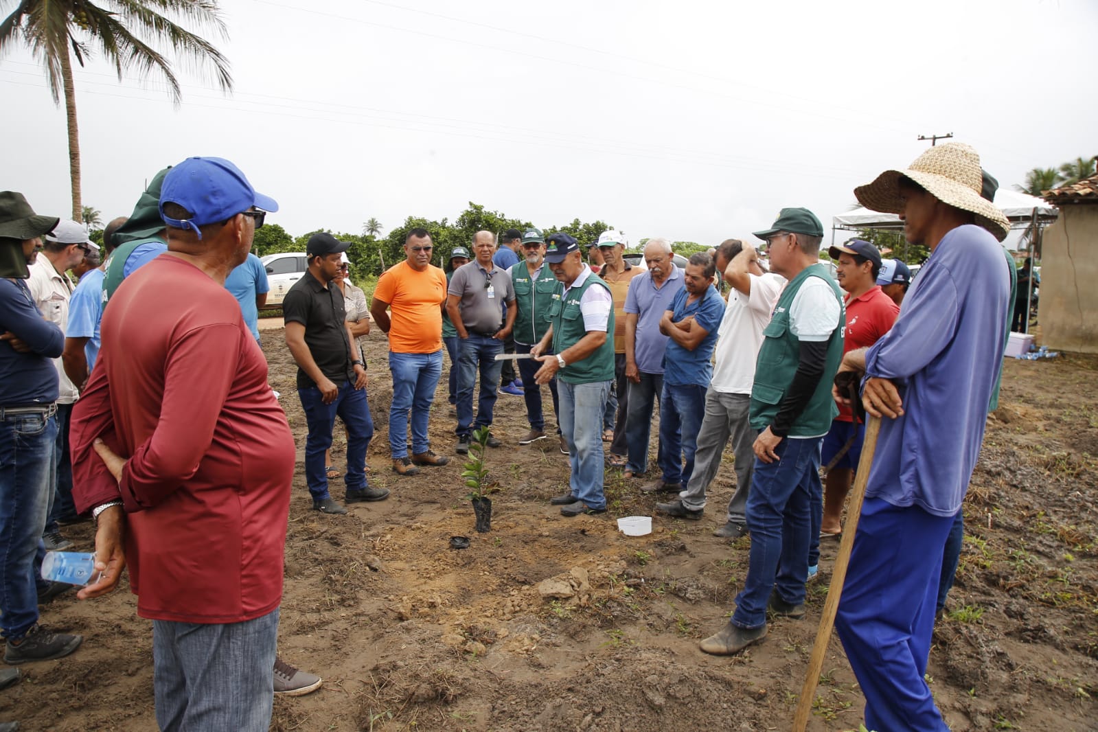 Dia de campo sobre novas tecnologias para o plantio de citros no povoado Mangue Grande em Boquim