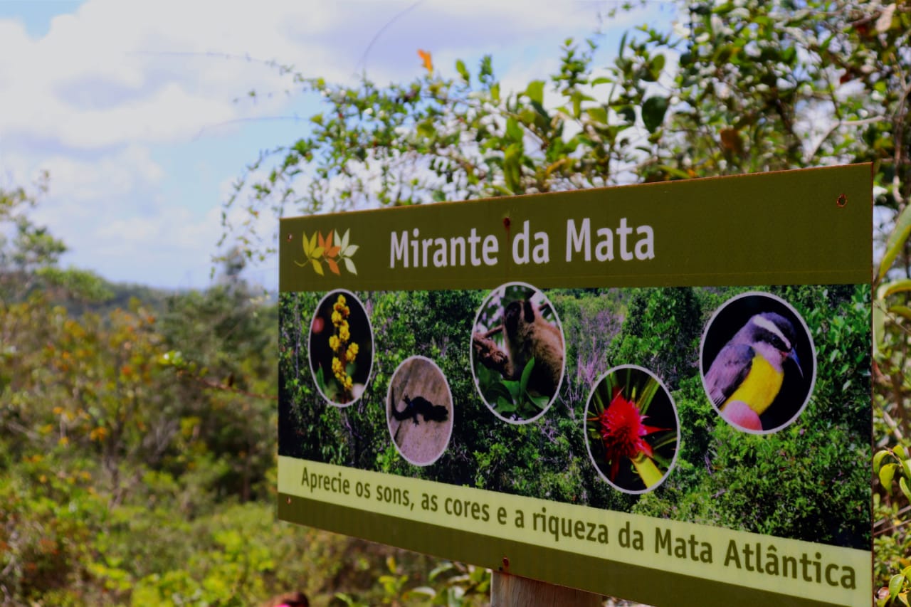 Mirante do Refúgio de Vida Silvestre Mata do Junco em Capela