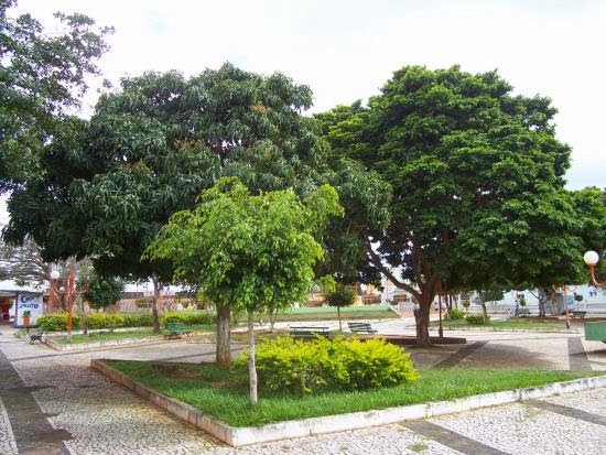 Praça central arborizada de Carira