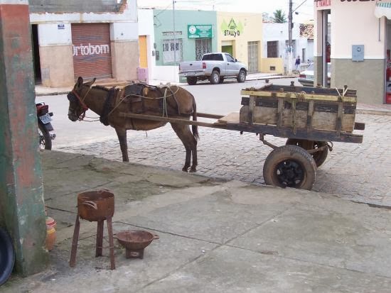Carroça utilizada no cotidiano rural de Carira