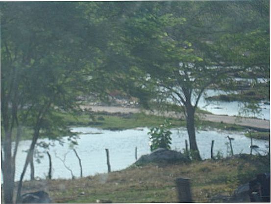 Água e vegetação da caatinga em Monte Alegre de Sergipe