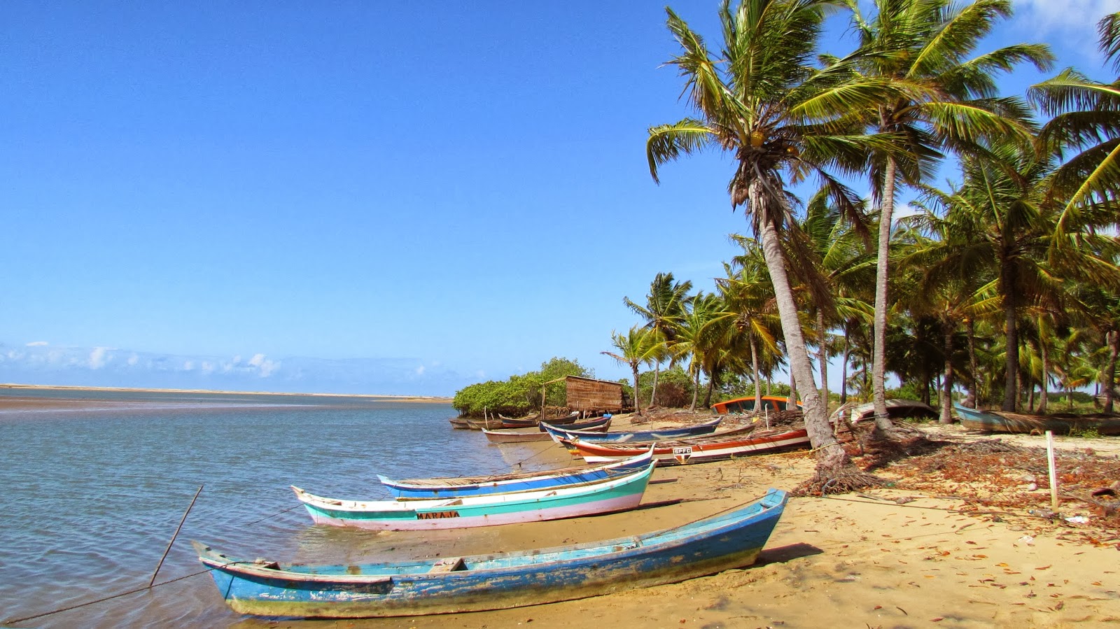 Embarcações artesanais e coqueiros em Ponta dos Mangues, Pacatuba