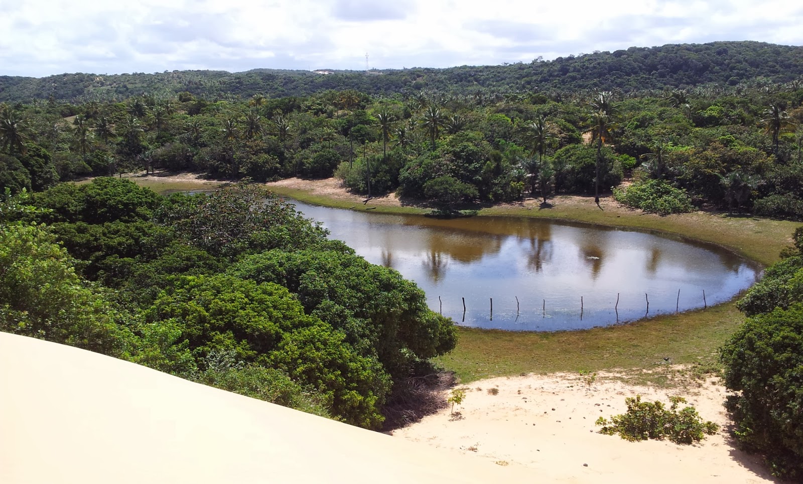 Lagoa e vegetação do Pantanal sergipano em Pacatuba