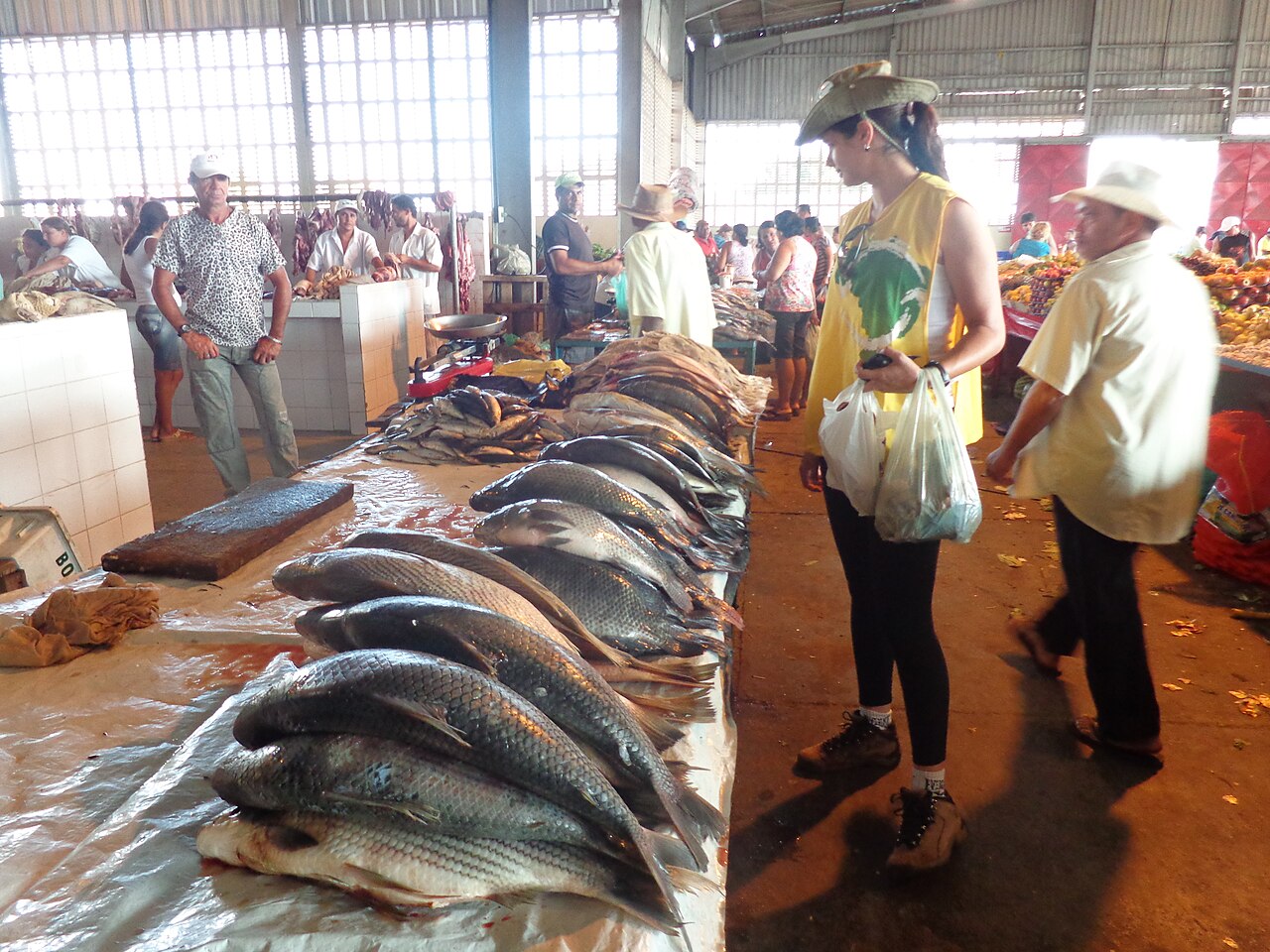 Feira de Poço Verde com bancas e consumidores