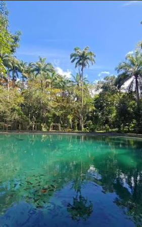 Piscina natural cercada pela vegetação no Balneário Público de Salgado