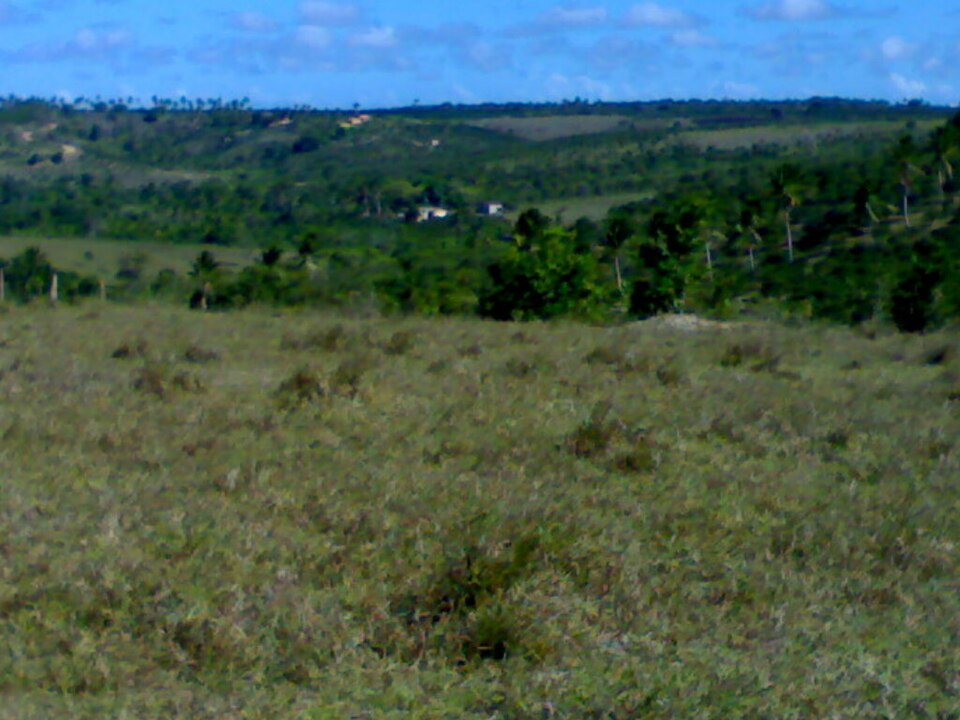 Paisagem rural da Fazenda Riachão no município de Umbaúba